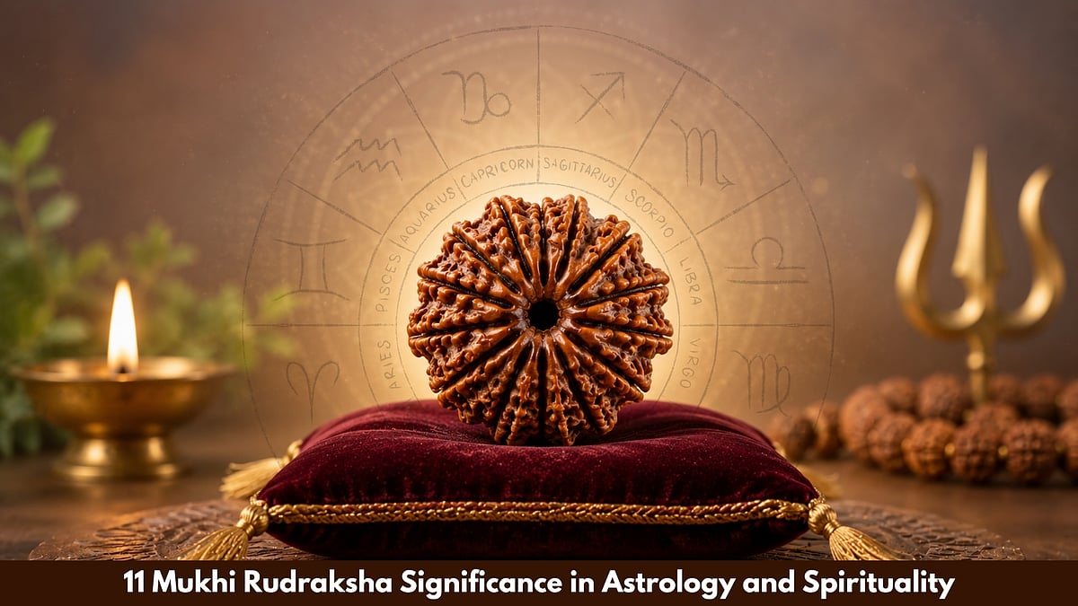 11 Mukhi Rudraksha Significance In Astrology And Spirituality - null