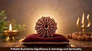11 Mukhi Rudraksha Significance In Astrology And Spirituality