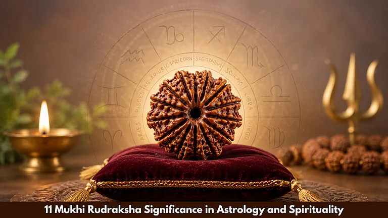 11 Mukhi Rudraksha Significance In Astrology And Spirituality - null
