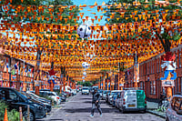 FIFA World Cup 2026: Marktweg Street At The Hague In Netherlands Gets Decorated Ahead Of WC | Photo: AP/Patrick Post : Marktweg Street in The Hague, Netherlands, is decorated ahead of the start of the soccer World Cup.