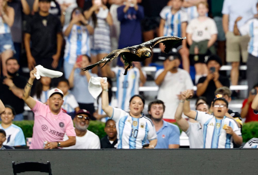 Argentina vs Iceland FIFA World Cup Warm-Up Match Highlights-