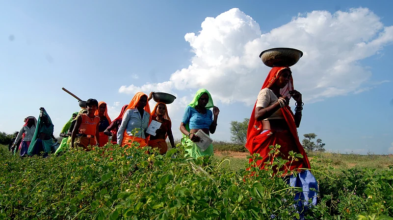 Women labourers under National Rural Employment Guarantee Act (NREGA) in Karauli district, Rajashtan