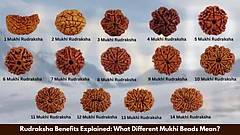 Rudraksha Benefits Explained: What Different Mukhi Beads Mean? - null
