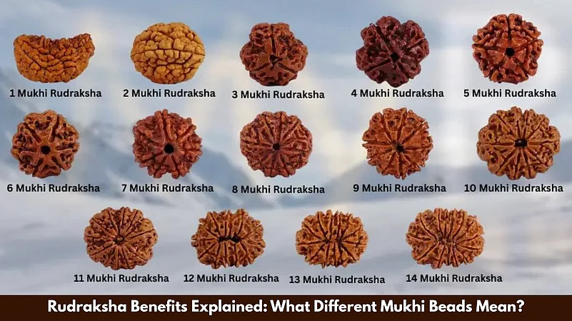 Rudraksha Benefits Explained