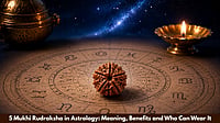 5 Mukhi Rudraksha In Astrology: Meaning, Benefits And Who Can Wear It
