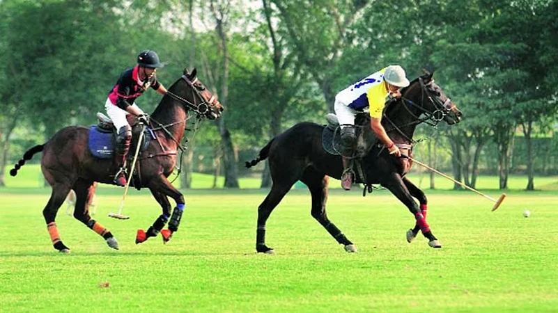Delhi court declines interim relief to Indian Polo Association in Jaipur Polo Ground eviction case