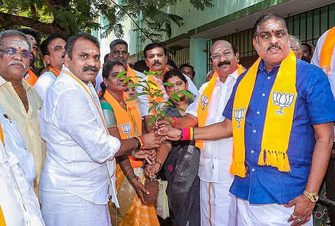 BJP leader L Murugan along with other ministers plant a sapling at Annai Sivagami Girls’ Higher Secondary School premises to mark the completion of 12 years of governance of Prime Minister Narendra Modi, in Puducherry.