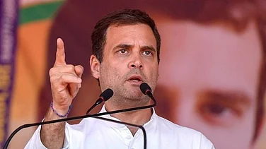 Rahul Gandhi should Apologize After SC Rejects Natarajan's Plea: BJP