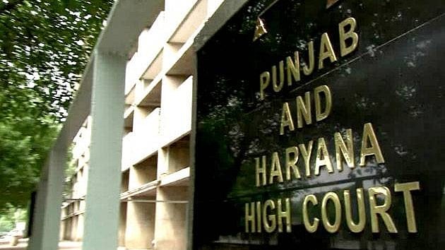 HC Denies Bail to 3 Juveniles in Sexual Assault Case, Notes Blind Victim Identified Them by Voice - File Photo; Representative image
