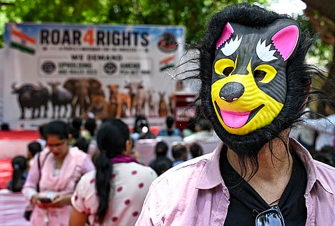 People participate in a protest against animal cruelty at Jantar Mantar, in New Delhi.