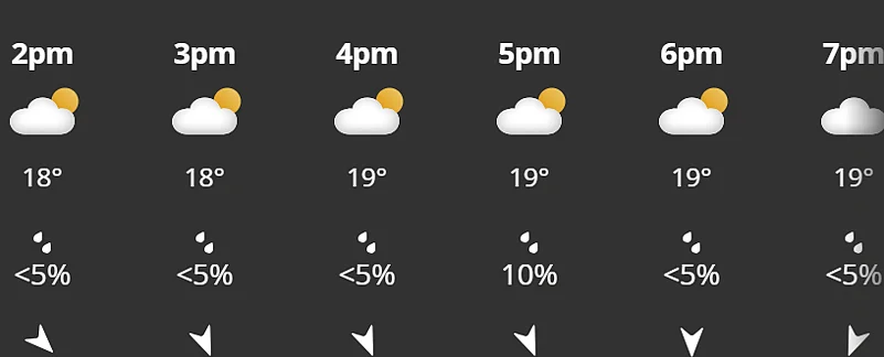 India Vs Pakistan, Womens T20 World Cup 2026: Hourly Weather