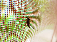 Mosquito Nets Cut Malaria Sharply, But Resistance Threatens Hard-Won Gains