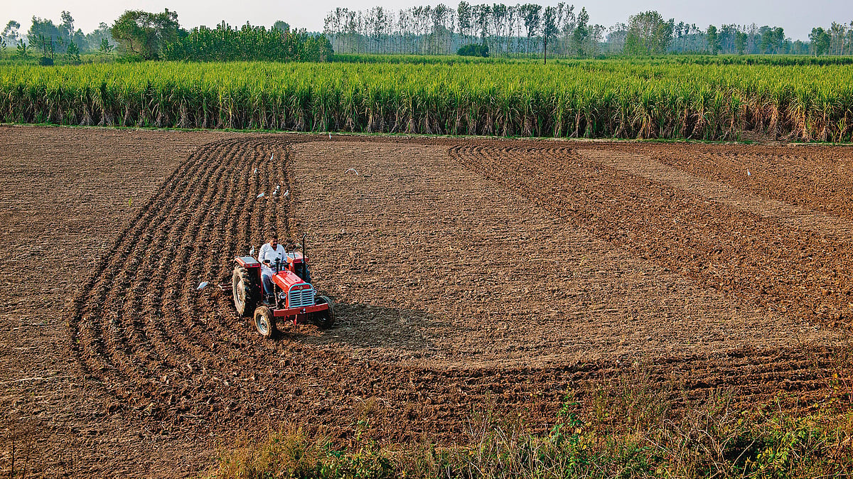 Farmer Dies After Being Thrashed, Run Over by Tractor in Chhattisgarh; 8 Held - Representative Image