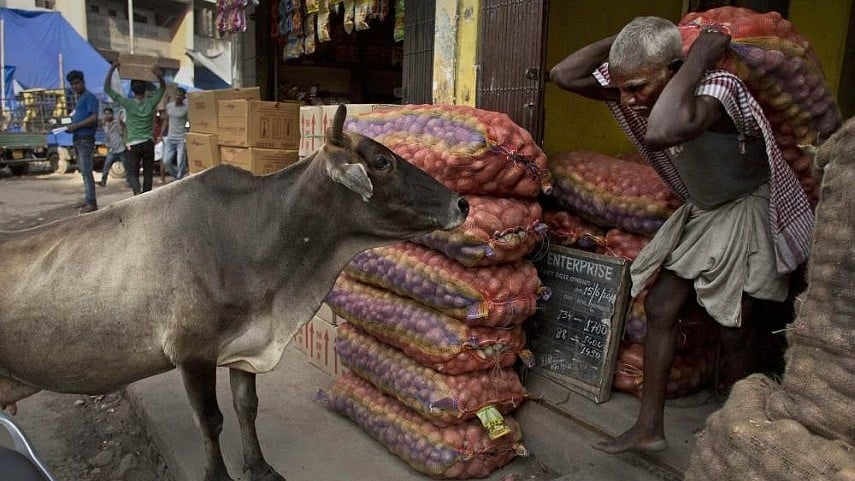 WPI Inflation Rises to 9.68% in May as Fuel, Food, Manufactured Items See Price Spike