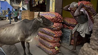 WPI Inflation Rises to 9.68% in May as Fuel, Food, Manufactured Items See Price Spike