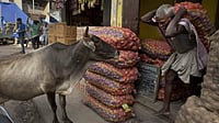 WPI Inflation Rises to 9.68% in May as Fuel, Food, Manufactured Items See Price Spike