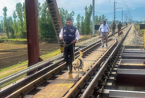 Security personnel with a sniffer dog inspect a railway bridge during an anti-sabotage and area sanitisation exercise ahead of the Shri Amarnath Ji Yatra, in Anantnag district, Jammu and Kashmir.