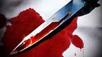 24-Year-Old Murder Accused, on the Run for Over a Year, Arrested 24-Year-Old Murder Accused, on the Run for Over a Year, Arrested