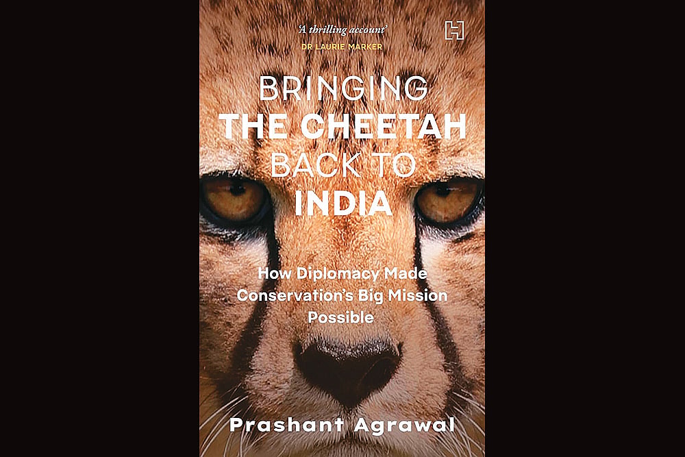 Bringing the Cheetah Back to India | Prashant Agrawal | Hachette India | 224 pages | Rs. 599 - null
