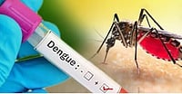 WHO Issues First Roadmap For Child-Focused Dengue Treatments As Infections Surge Globally