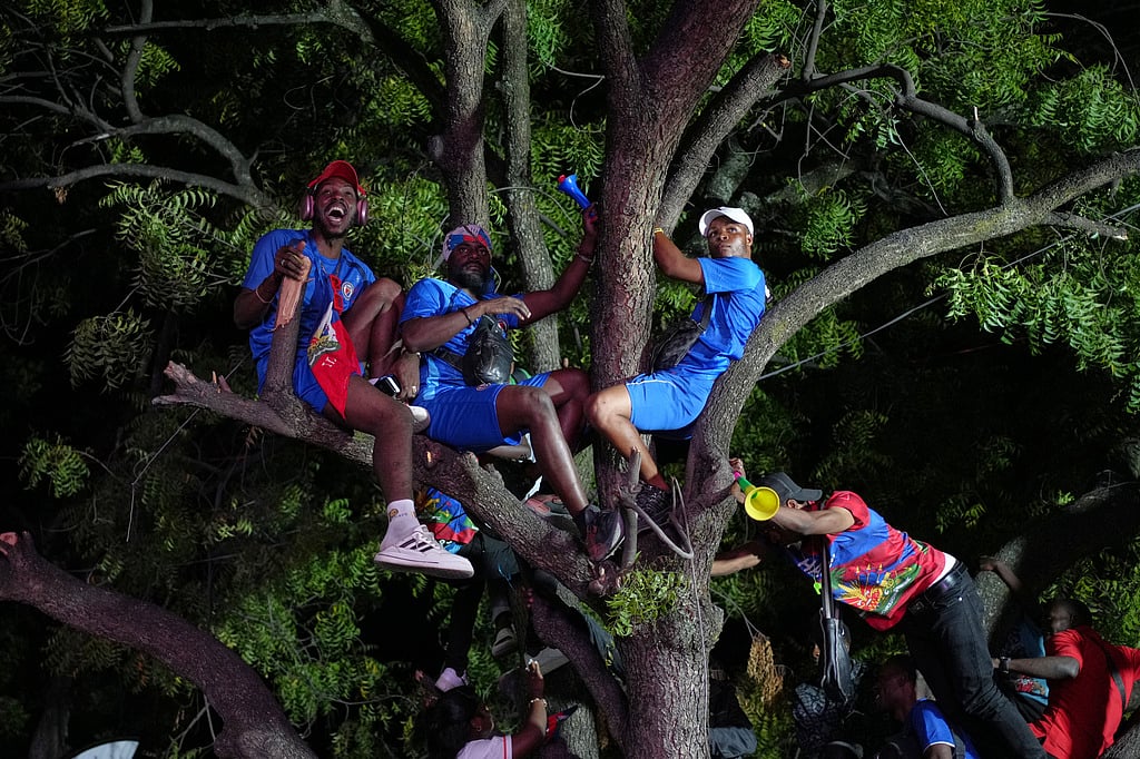FIFA World Cup 2026 Port-au-Prince Tree Top Canopy AP Photo