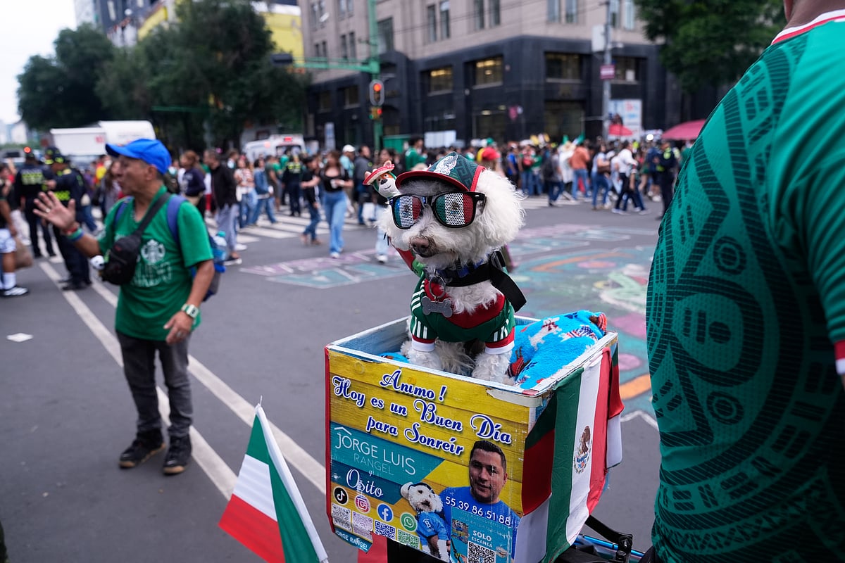 Mexico vs South Korea FIFA World Cup 2026 Osito Dog AP Photo