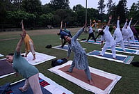 | Photo: PTI/Shiva Sharma : People take part in a yoga session at a garden ahead of the International Yoga Day, in Amritsar, Punjab.