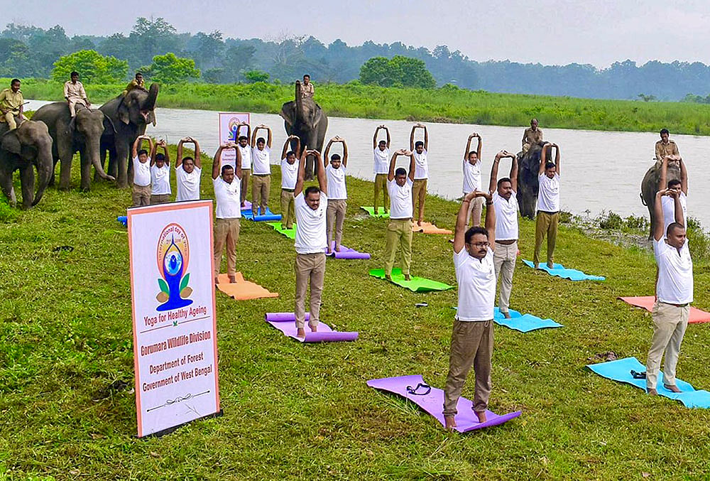 Staff of the Gorumara National Park take part in a yoga session on the eve of International Yoga Day, in Jalpaiguri district, West Bengal.  - | Photo: @byadavbjp/X via PTI 