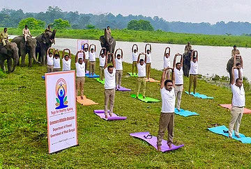 | Photo: @byadavbjp/X via PTI : Staff of the Gorumara National Park take part in a yoga session on the eve of International Yoga Day, in Jalpaiguri district, West Bengal.