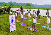 | Photo: @byadavbjp/X via PTI  : Staff of the Gorumara National Park take part in a yoga session on the eve of International Yoga Day, in Jalpaiguri district, West Bengal. 