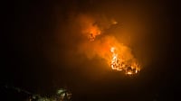 Burning Forest ‘Waste’ To Make Cement Damages The Climate Let’s Pursue Cleaner Options Photo: AP/Javier Torres : Burning Forest ‘Waste’ To Make Cement Damages The Climate Let’s Pursue Cleaner Options