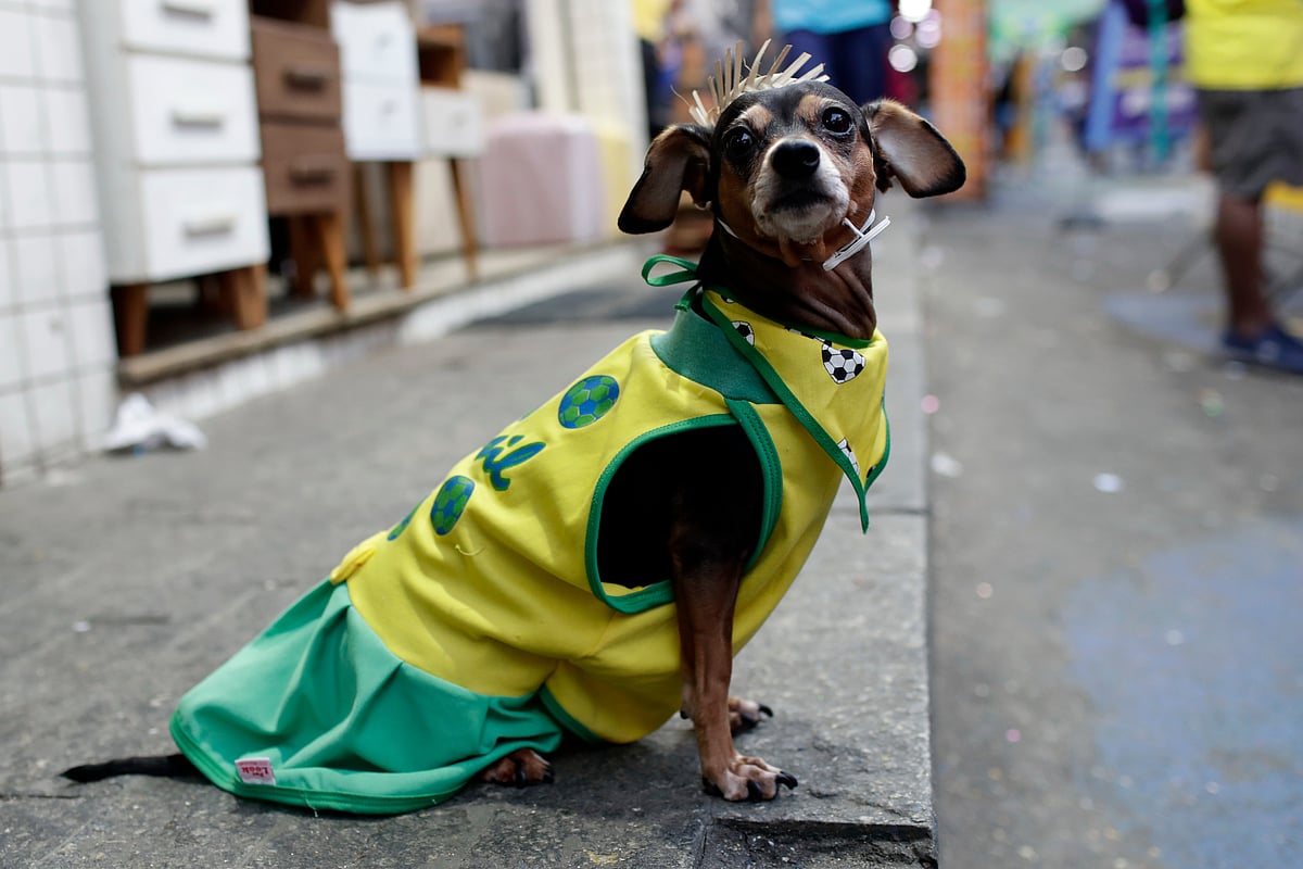 Brazil vs Haiti FIFA World Cup 2026 Dog in Rocinha favela AP Photo