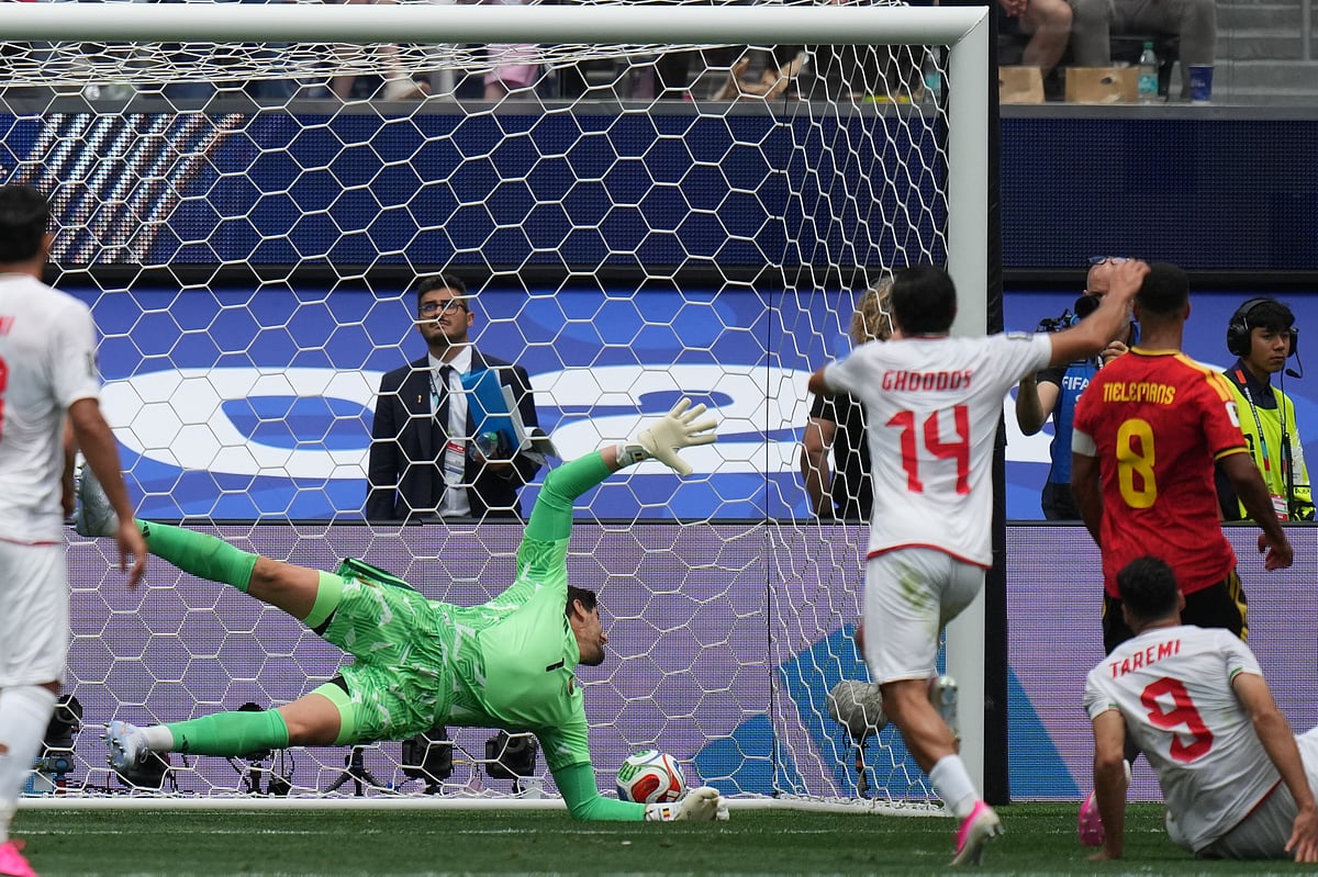 Belgium Vs Iran, FIFA World Cup: See Best Photos