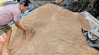 Kerala to Crack Down on Private Mills Delaying Paddy Procurement Process 