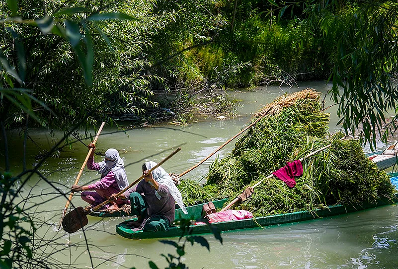 Women rowing boats