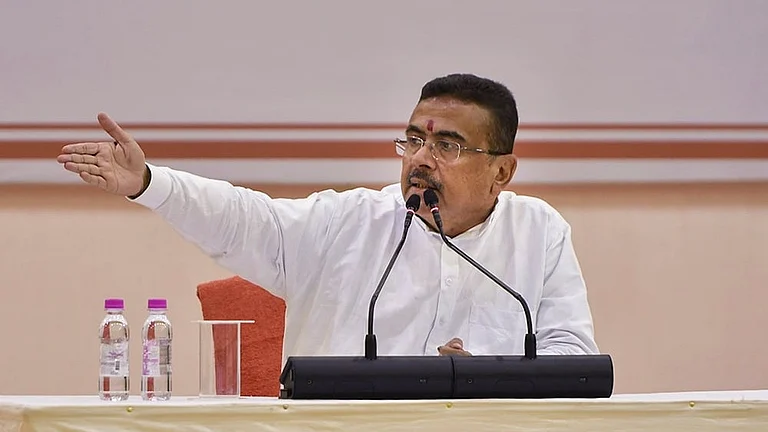 West Bengal CM Pays Homage to Syama Prasad Mookerjee on Death Anniversary - Photo: PTI