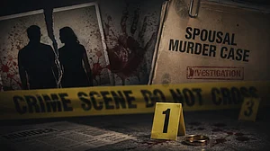 AI generated : The Disturbing Rise of Spousal Murder Cases and What They Reveal