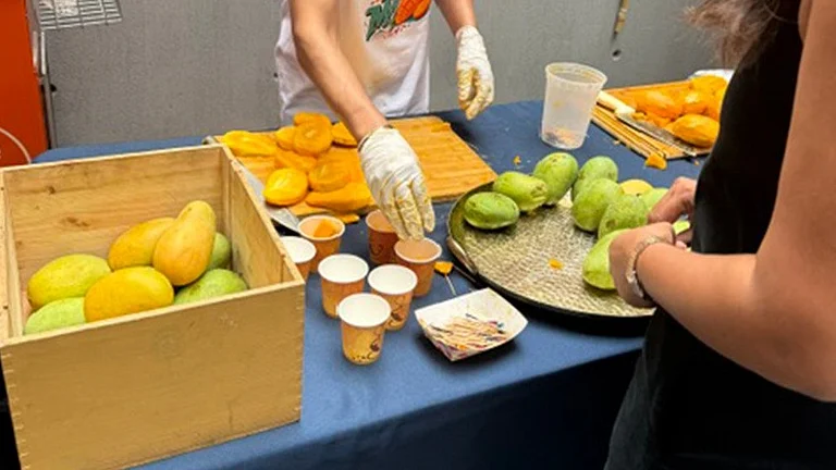 Diaspora Members New Yorkers Savour Indian Mango Varieties At Special Event - | Photo: PTI/Yoshita Singh