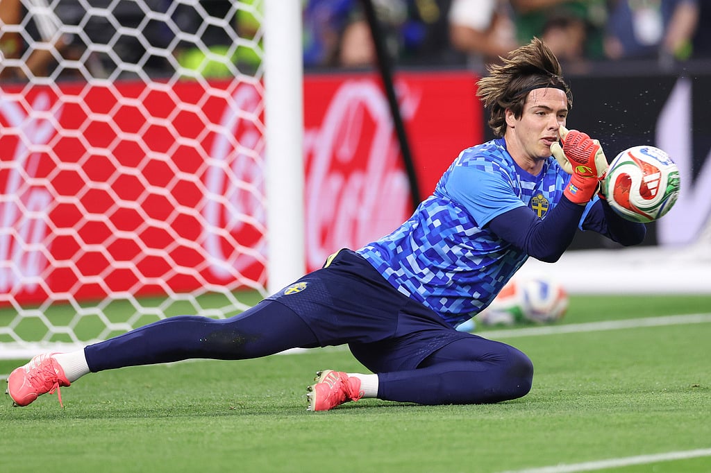 Japan Vs Sweden, FIFA World Cup: See Best Photos