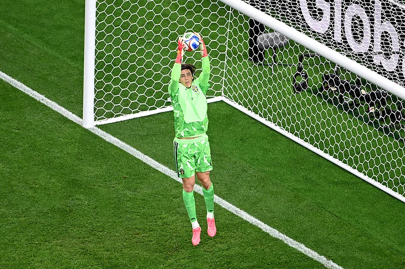 Japan Vs Sweden, FIFA World Cup: See Best Photos