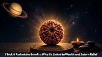 7 Mukhi Rudraksha Benefits: Why It’s Linked To Wealth And Saturn Relief 7 Mukhi Rudraksha Benefits: Why It’s Linked To Wealth And Saturn Relief