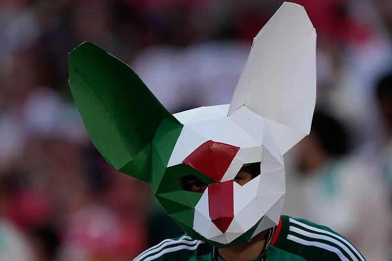 Algeria Vs Austria, FIFA World Cup: See Best Photos