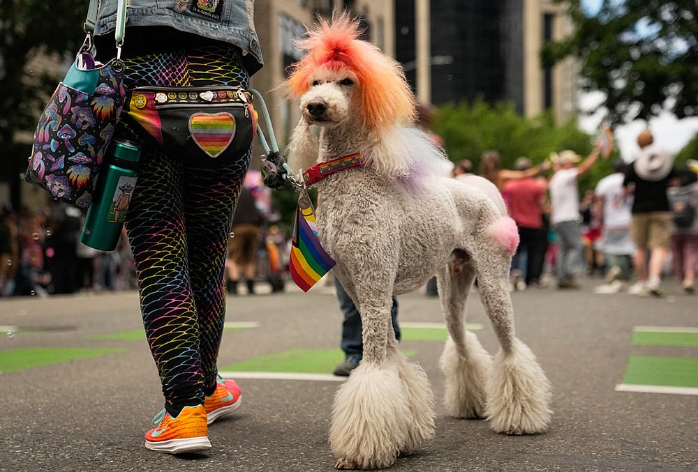 Pride Parade in Seattle
