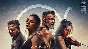 X : Alpha CBFC report