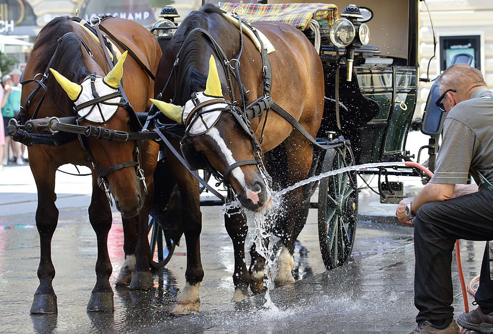 Early Heat Wave in Europe best photo highlights-Austria heatwave