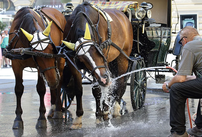 Early Heat Wave in Europe best photo highlights-Austria heatwave
