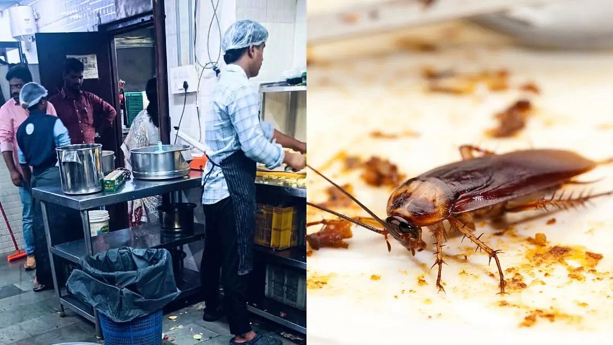 Rats, Cockroaches, Expired Food: FDA Cracks Down on 6 Mumbai Eateries - null