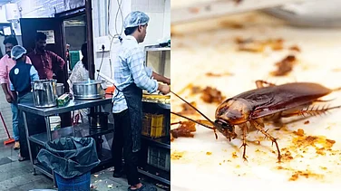 Rats, Cockroaches, Expired Food: FDA Cracks Down on 6 Mumbai Eateries