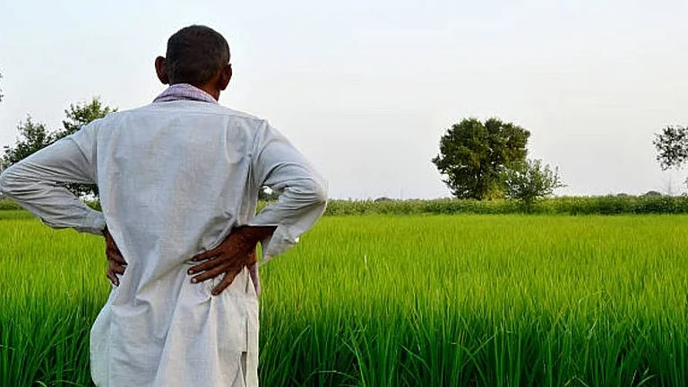 Maharashtra Govt's Loan Waiver an 'Eye-Wash', Says Cong; Questions Funding - null