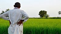 Maharashtra Govt's Loan Waiver an 'Eye-Wash', Says Cong; Questions Funding Maharashtra Govt's Loan Waiver an 'Eye-Wash', Says Cong; Questions Funding